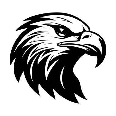 Detaylı Özellikleri ve Dinamik İfadesiyle Kartal Başı 'nın Güçlü Siyah ve Beyaz Görüntüsü