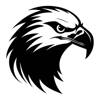 Yoğun Bakışlı Güçlü Kara Kartal ve Vahşi Yaşam ve Doğa Teması İçin Detaylı Tüyler