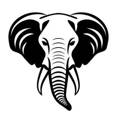 Ayrıntılı Özellikleri ve Açıklayıcı Sandığı ve Kulakları Olan Bir Fil Başının Siyah ve Beyaz Fotoğrafı