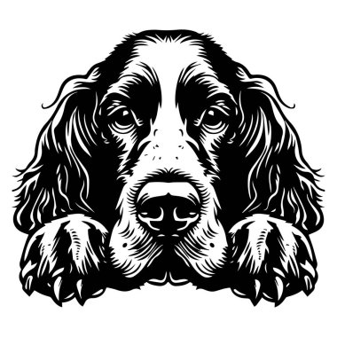 Etkileyici Özellikleri ve Büyüleyici Gözleriyle Bir Köpeğin Başının Detaylı El Çizimi Çizimi