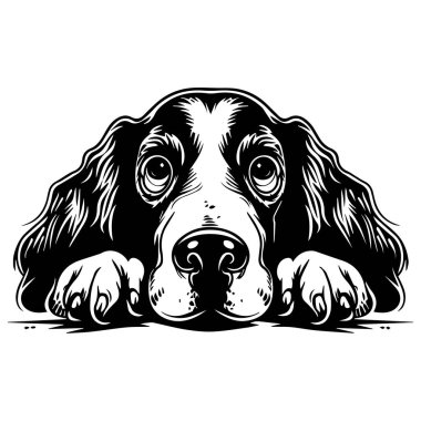 Sevimli Beagle Köpek Büyük Gözler ve İfadeyle Yatıyordu, Basit Siyah ve Beyaz Çizim Biçimi