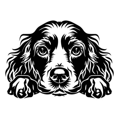 Yaratıcı ve Sanatsal Biçimli İfade Eden Gözleri ve Kulakları olan Bir Köpek Başı 'nın Siyah ve Beyaz Çizimi