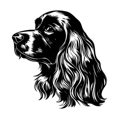 Uzun Saçlı ve Etkileyici Özellikleri Olan Tarafsız Görünümlü Siyah Köpek 'in Detaylı Resimleri