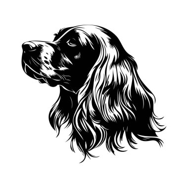 Uzun Akan Kürk ve Zarif Profil Tasarımlı Bir Köpeğin Başının Detaylı Siyah ve Beyaz Çizimi