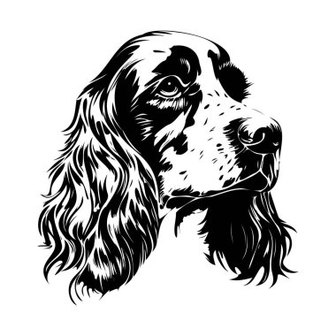 Siyah ve Beyaz Tarzlı Güzel Bir Köpeğin Portresi Lüks Kürkü ve İfade Eden Yüz Özellikleri