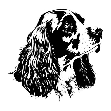 Uzun Kürklü ve Ayırt Edici Özelliklere sahip Bir Köpeğin Zarif Siyah ve Beyaz Çizimi