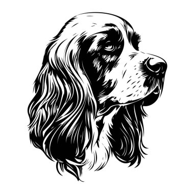 Uzun Kulaklar ve Siyah-Beyaz Biçimli İfade Eden Gözler içeren Bir Köpeğin Başının Detaylı Resimleri