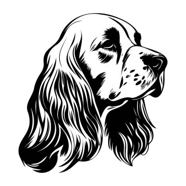 Sanatsal Kullanım İçin Siyah ve Beyaz Kürklü Oyuncu Bir Köpeğin Ayrıntılı Resimleri