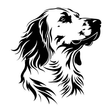 Akan Kürk ve İfade Eden Yüzlü Altın Avcı Köpeğinin Zarif Siyah ve Beyaz Çizimi