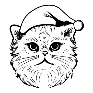 Noel ve Bayram Kutlamaları İçin Ayrıntılı Özellikleriyle Noel Baba Şapkası Giyen Sevimli Kedi