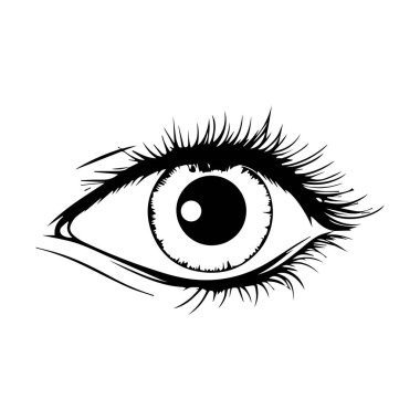 Ayrıntılı Kirpikleri ve Doğal Eğrileri Olan Bir Gözün Minimalist Siyah ve Beyaz Çizimi