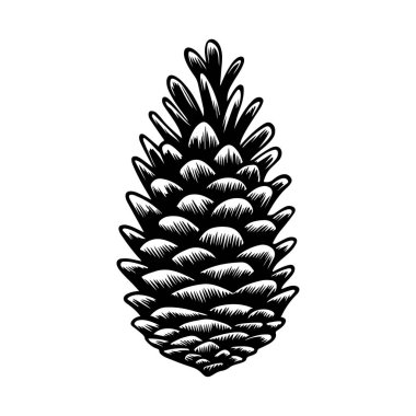 Siyah ve Beyaz Çam Kozalağı Detaylı Çizimi, Doğa ve Botanik Temalı Tasarımlar İçin Mükemmel