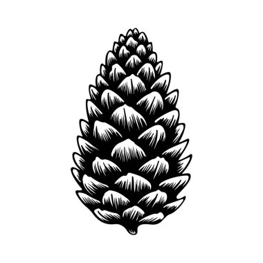 Karmaşık Ölçekli Şekiller ve Siyah ve Beyaz Doğal Doku Gösteren Bir Çam Kozalağının Detaylı ResmiName