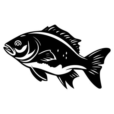 Belirgin Özellikleri ve Fin Yapısı olan Siyah ve Beyaz Balığın Ayrıntılı Resimleri