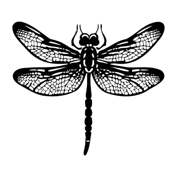 Doğa ve Böcek Çizimleri İçin Karmaşık Kanatlı Yusufçuğun Detaylı Kara Silüeti