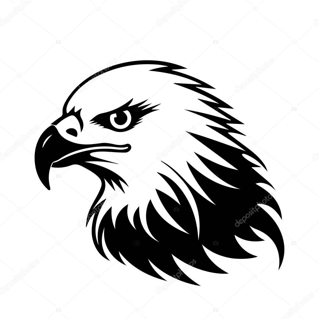 Bold Eagle Head Illustration with Detailed Feather Design for Nature and Wildlife Themes