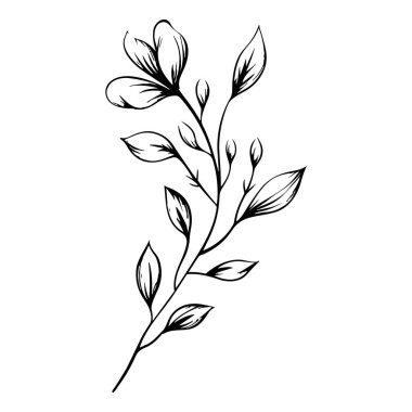 Sanatsal ve Tasarımsal Kullanım Yapraklı Zarif Bölümün Zarif El Çizimi Çizimi İllüstrasyonu