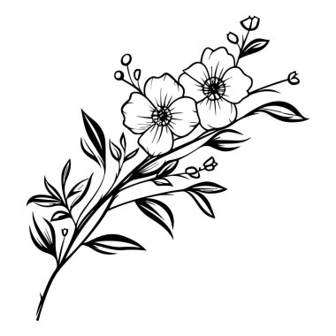 Zarif El Çizimi Çiçekler ve Sanat ve Yaratıcı Tasarımlar İçin Yapraklar Çizimi