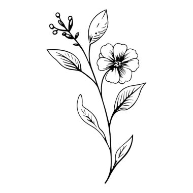 Sanatsal Projeler İçin Minimalist Siyah ve Beyaz Tarzlı Yaprakları ve Tomurcukları Olan Bir Çiçeğin Zarif Özeti