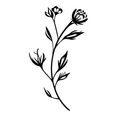 Narin Yaprakları ve Doğa ve Sanatsal Temalar İçin Çiçekleri Olan Bir Bitkinin Zarif Siyah Silueti