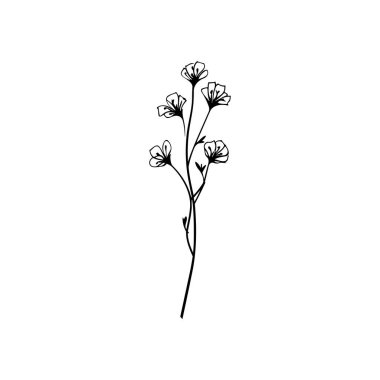 Zarif Eğri Kökler ve Basit Çizgi Sanat Tarzı ile Zarif Çiçeklerin Minimalist ResimleriName