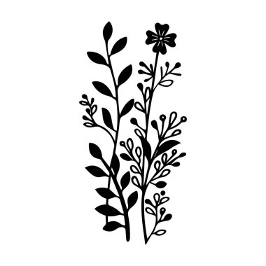 Çeşitli Yapraklar ve Çiçekler Dekoratif Kullanım İçin Zarif Botanik Elementlerin Silueti