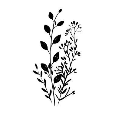 Narin Çiçeklerin Sanatsal Siyah Silüeti ve Doğaya Yapraklar İlham Veren Tasarım ve Arkaplan