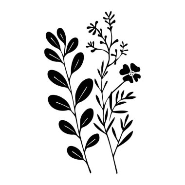 Minimalist Çiçek Motiflerinin Zarif Botanik Resimleri Çeşitli Yapraklar ve Siyah Çiçekler