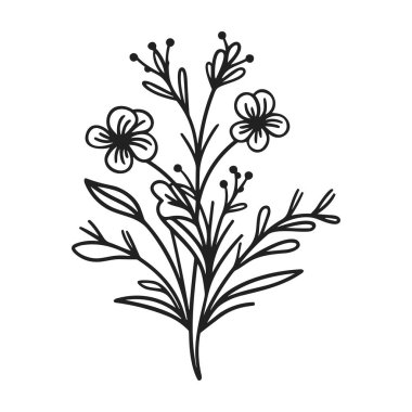 Narin Çiçekler ve Yapraklar Siyah ve Beyaz Tasarımlı El Çizimi Çiçek Çizimi