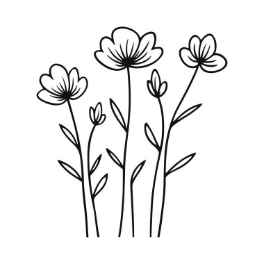 Zarif El Çizimi Çiçek Çizimi Siyah ve Beyaz Tarzlı Zarif Kökler ve Zarif Çiçekler