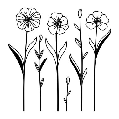 Zarif El Çizimi Siyah ve Beyaz Çiçek İllüstrasyonu Çeşitli Çiçek ve Yaprak Türleri
