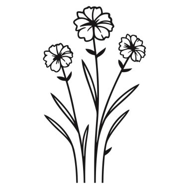 Dikey Kökler 'de Yapraklı Üç Çiçek Çiçeğinin Narin El Çizimi ResmiName