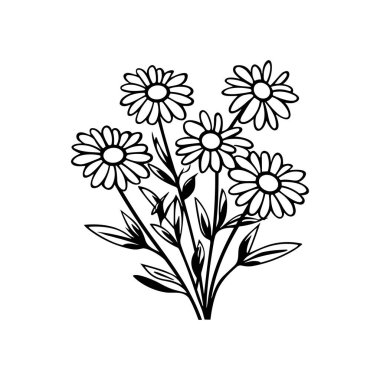 Kibar Yaprakları ve Doğal Sunumuyla Papatya Çiçekleri 'nin Zarif Siyah ve Beyaz Resimleri