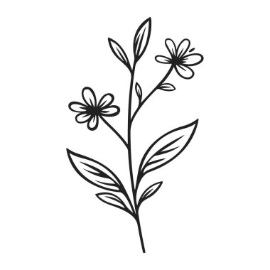 Sanatsal ve Dekoratif Kullanım İçin Yapraklar ve Küçük Çiçeklerle Basit Siyah Çizgi Çizimi