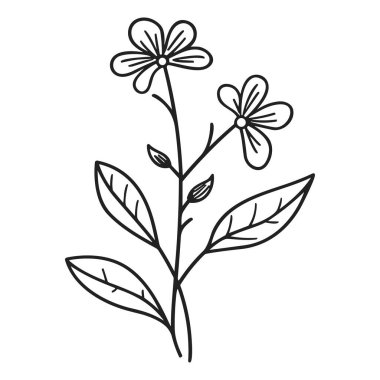 Zarif Çiçek ve Yapraklar Çizgisi Yaratıcı Tasarım ve Resimler İçin Basit Tasarım