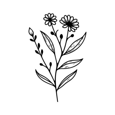 Siyah ve Beyaz Tarzlı Narin Çiçek ve Yaprak Tasarımlı El Çizimi Çiçek Çizimi