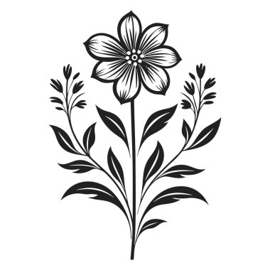 Zarif Siyah ve Beyaz Taç Yaprakları Tasarım ve Dekorasyon İçin Yapraklı Resimler