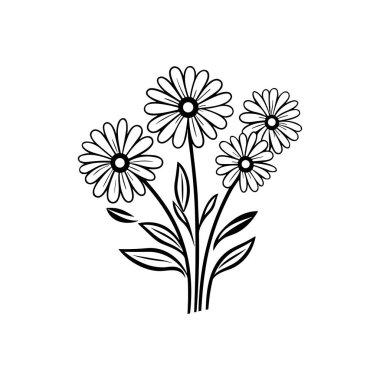 Ayrıntılı yaprakları ve yaprakları olan papatyaların güzel el çizimleri.