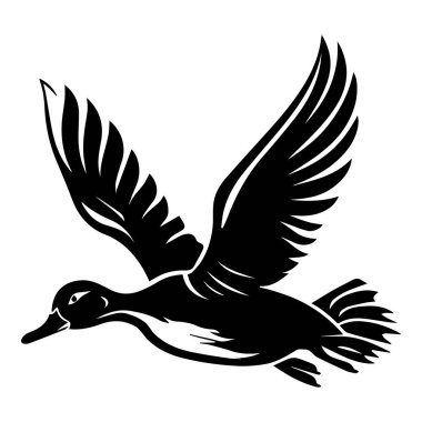 Uçan Ördeğin Siyah ve Beyaz Silueti Ayrıntılı Kanatları ve Zarif Biçimi Uçuşun ortasında Yakalandı