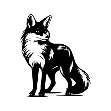 Kalın Kuyruklu ve Keskin Özellikli Ayakta Duran Tilki 'nin Zarif Siyah ve Beyaz Çizimi