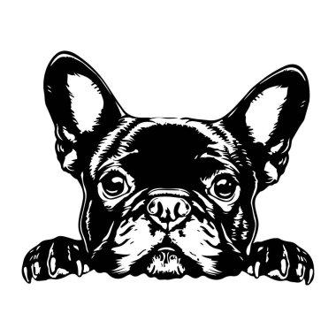 Büyük Kulaklı ve Minimalist Tarzlı İfade Eden Gözlü Bir Fransız Bulldog 'unun Siyah ve Beyaz Çizimi