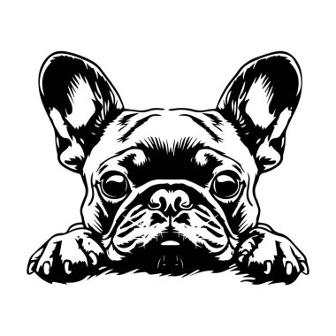 Siyah-Beyaz, Ayrıntılı Yüz İfadeleri ve Özellikleri içeren Fransız Buldogunun Çizimsel Tarzı