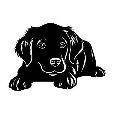 Oyuncak bir köpeğin siyah silueti dinleniyor, köpek severler ve hayvan temalı tasarımlar ve çizimler için mükemmel.