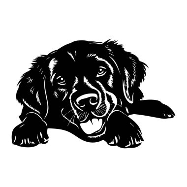 Neşeli ve Mutlu Köpek Yüzünde neşeli bir ifadeyle Yatıyordu