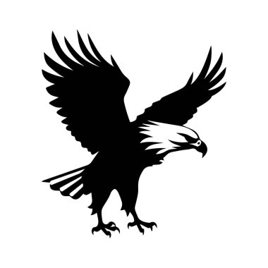 Doğanın güzelliğini ve gücünü siyah ve beyaz olarak yakalayan, Genişletilmiş Kanatlarıyla Uçan Görkemli Kartal