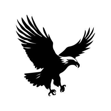 Uçan Şahane Kartal 'ın Silueti Geniş Kanatlar ve Ayrıntılı Tüy Örnekleri