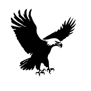 Vahşi Yaşam ve Doğa Teması Karşısında Siyahlı Uçan Kartalın Görkemli Silueti