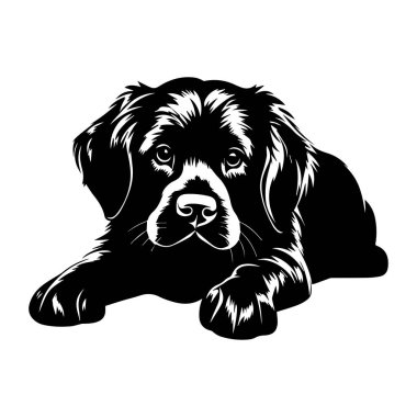 İfade Veren Gözler ve Oyuncu Duruş ile Rahat Bir Köpeğin Siyah ve Beyaz Çizimi