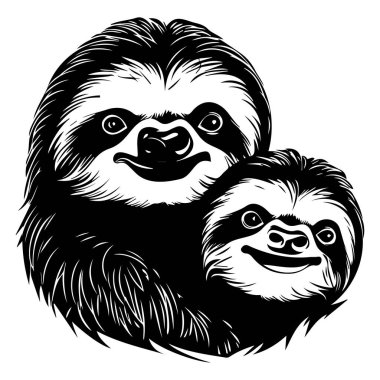 Vahşi Yaşam ve Doğa Aşıkları İçin Yürek Dolduran İki Sevecen Tembel Hayvan