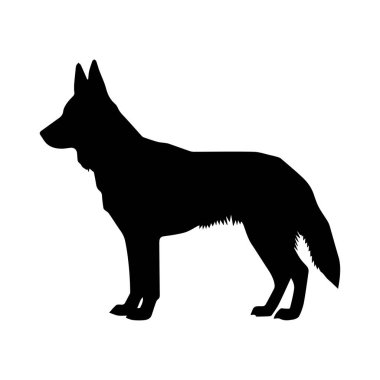 Tasarım ve yaratıcı projeler için biçilmiş kaftan.